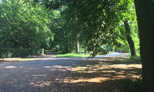 Der Prinzenpark.