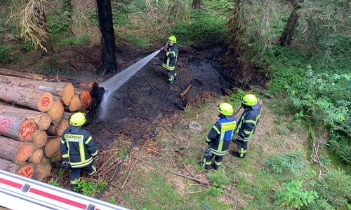 Der Brand hatte auf den Holzpolter übergegriffen.
