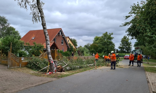 In Päse warf der Sturm einen Baum um. Ein weiterer drohte ebenfalls zu fallen. 