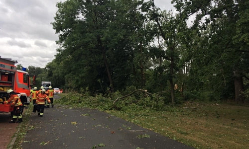 Der Baum war schon umgekippt, als die Feuerwehr eintraf.
