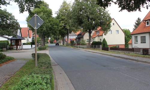 In der Lindenallee beginnen bald Sanierungsarbeiten.