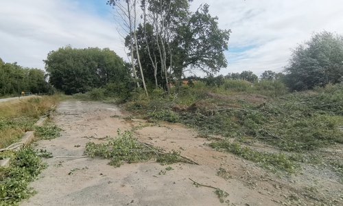 Begonnen wird mit der Errichtung einer Baustraße, um die Zufahrt zum Gelände sicherzustellen.