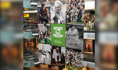 Die VfL-Collage in der City-Galerie.