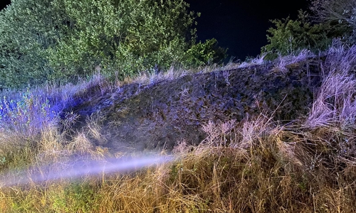 Das Feuer wurde durch zwei Leitungen sowie einem Löschrucksack gelöscht. 