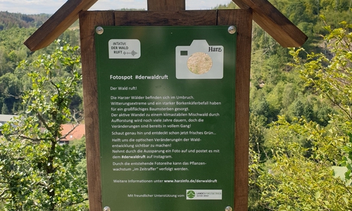 Fotospot an der Verlobungsurne bei Alexisbad 