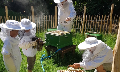 In Imker-Schutzkleidung dürfen die Kinder der Kita Hahndorf die erfahrenen Imker Bärbel und Michael Demuth bei der Arbeit mit den Bienen unterstützen.