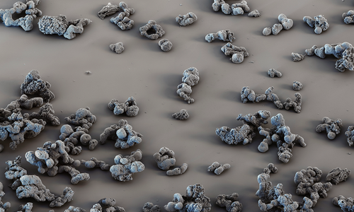 Panorama of a Landscape, rasterelektronenmikroskopische Aufnahme von menschlichen Kolonkarzinom Organoiden, Rasterelektronenmikroskopie: S.Diller, Scientific Photography Würzburg, 2018 Courtesy DITTRICH & SCHLECHTRIEM, Berlin
