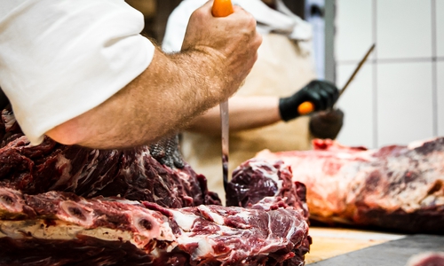 Wer in der Schlachtung, Zerlegung und Verarbeitung von Fleisch arbeitet, macht einen Knochenjob. 