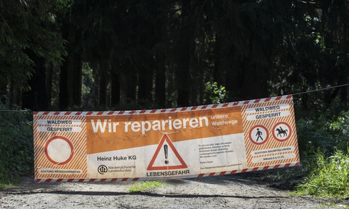 Die Waldwege sollen saniert werden.