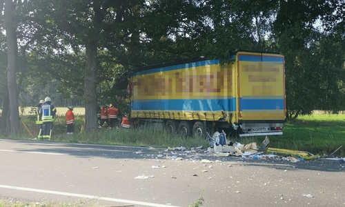 Der LKW-Fahrer wurde in ein Krankenhaus gebracht.
