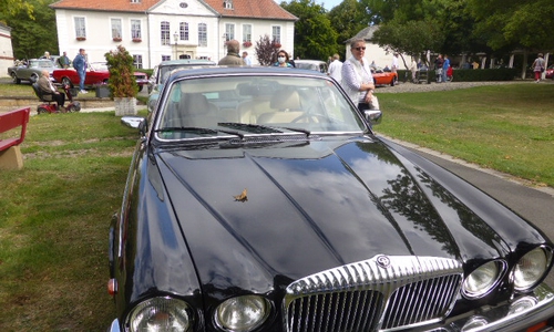 15 Oldtimer machten Station am Schloß Schliestedt. 