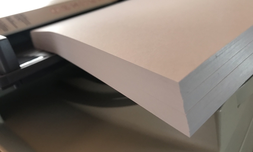 Das Jugendparlament schlägt die Einführung von Recyclingpapier an städtischen Schulen vor.