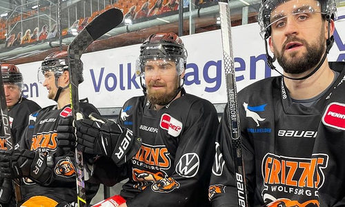 Die Grizzlys Wolfsburg haben sich verstärkt.
