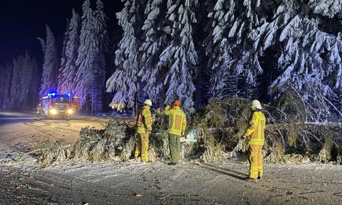Der Baum war quer über die Fahrbahn gefallen.