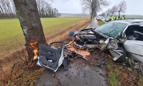 Der Wagen krachte frontal gegen einen Baum