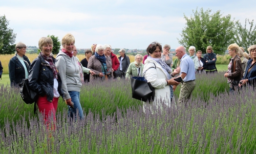 Es bleibt zu hoffen, dass solche Bilder bald wieder möglich sind.