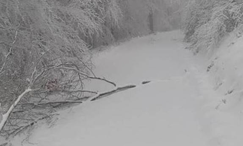 Schnee lässt die Äste der Bäume brechen - es besteht Gefahr