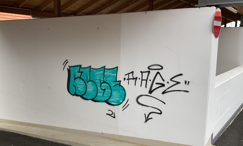 Die Stadt Helmstedt sucht den Autoren dieser Graffiti.