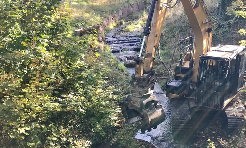 Die Abzucht wird in den kommenden Wochen ertüchtigt.