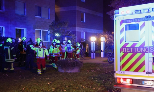 Die Feuerwehr Thiede musste am gestrigen Abend zu einem Einsatz ausrücken.