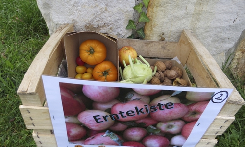 Mit der Erntekiste soll Obst und Gemüse nicht weggeschmissen, sondern verschenkt werden.