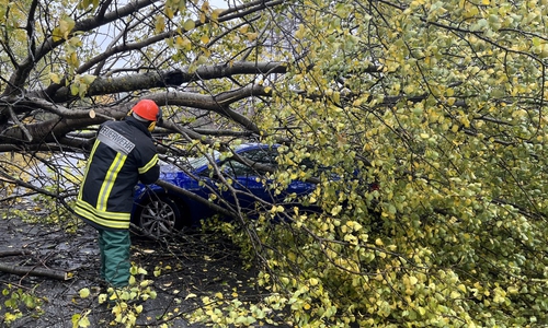 Die Feuerwehr musste die Bäume entfernen, um die Familie zu befreien.