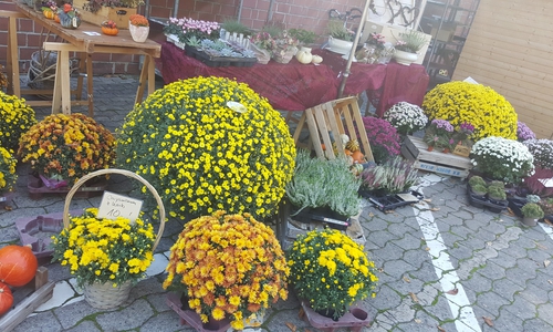 Der Herbstliche Kunsthandwerkermarkt findet am 9 und 10. Oktober rund um die Börnekenhalle Lehre statt.
