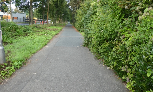 Die vorbereitenden Arbeiten für den Ausbau des Seeweges beginnen ab Montag, 18. Oktober. 