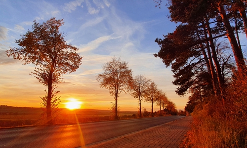Dieses Herbstfoto hat unsere Leserin Sandra Winkler in Groß Denkte, im Landkreis Wolfenbüttel, aufgenommen und ist eines von unzählig schönen Momentaufnahmen, die uns unsere Leserinnen und Leser zugesandt haben.
