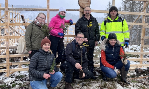 Die Baumpflanzaktion im Goslarer Stadtforst.