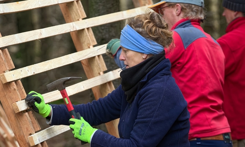 Freiwillige Helfer errichten Schutzgatter, um junge Bäume vor Wildverbiss zu schützen. 