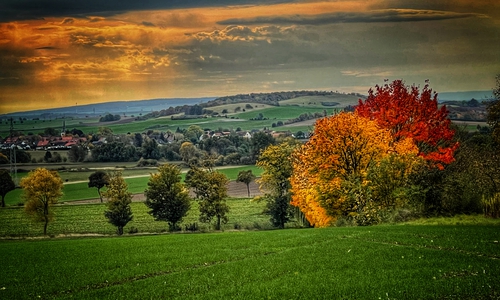 Wunderschön: Linden in Herbstfarben von Mirja Suchopar