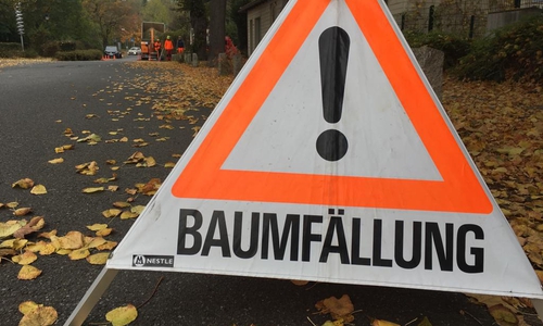 Symbolfoto