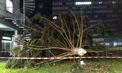 Der Weihnachtsbaum vor dem Rathaus in Salzgitter-Lebenstedt hat wohl einer stärkeren Windböe nachgegeben. 