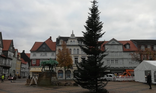 Die Kundgebung findet auf dem Wolfenbütteler Stadtmarkt statt.