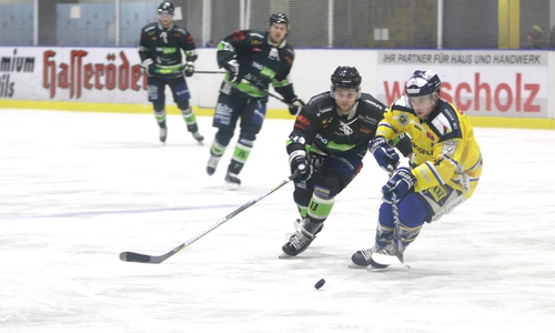 Die Icefighters mussten sich am Freitagabend geschlagen geben. 