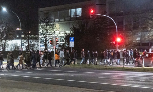 Ein "Spaziergang" in Salzgitter. (Archivbild) 