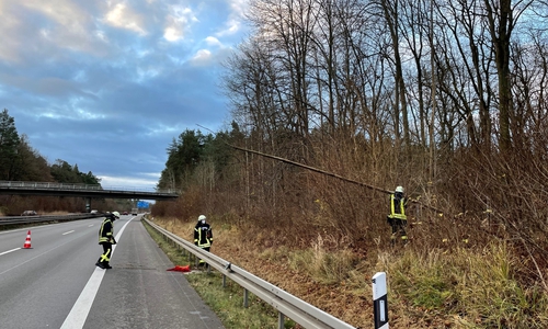 Der Baum drohte auf die Autobahn zu fallen.