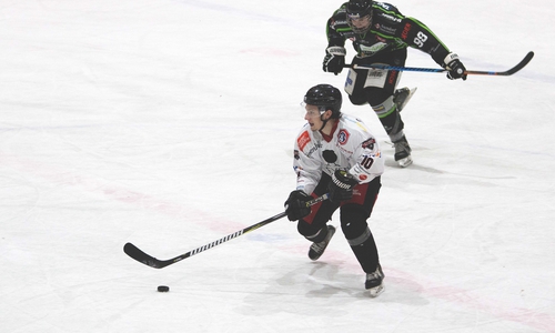  Die cefighters verpassen Sensation bei Falken.