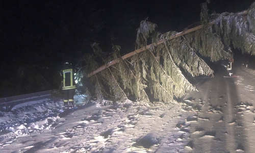 Der Baum wurde von der Feuerwehr entfernt.