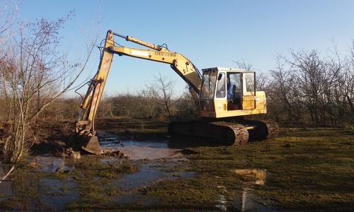 Gewässeranlage und Entbuschung für die Wechselkröte.