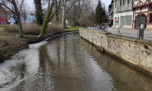 Voll, aber noch nicht übervoll. Das Schmelzwasser hat die Oker gut gefüllt, obgleich in Wolfenbüttel noch keine Meldestufen überschritten worden sind.