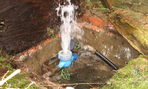 Ein Frostschaden im Außenbereich. 