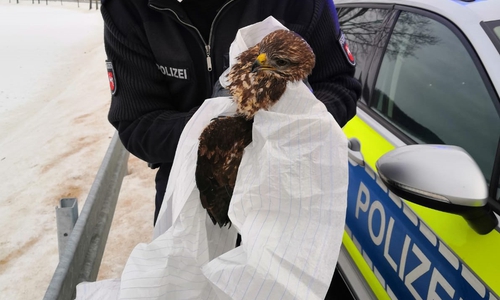 Die Polizei kümmerte sich um den verletzten Bussard.