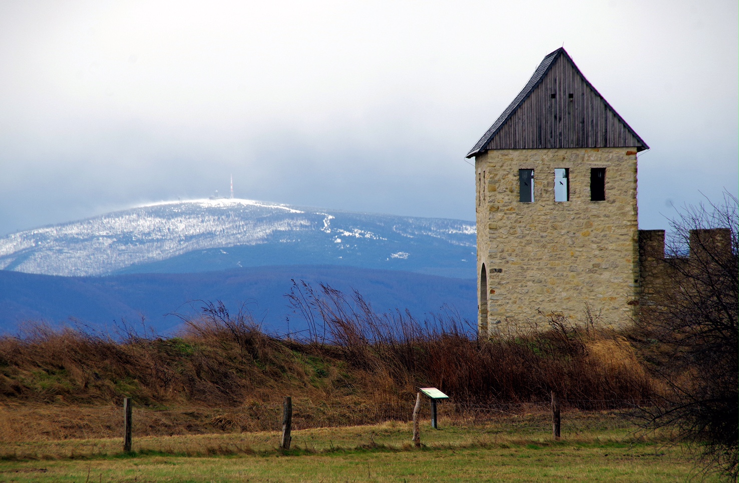 Werlaburgdorf Förderverein Werla pflanzt Bäume und sammelt Müll