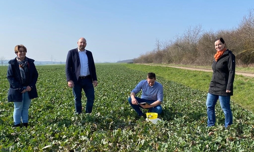 Die gelbe Schale im Feld dient einem Zweck.