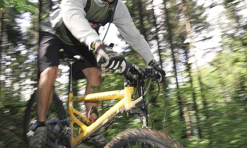 Problematisch seien vor allem die Mountainbiker, die mit dem Auto anreisen und die Asse "als ihren persönlichen Spielplatz" ansehen würden.