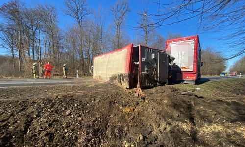 Die Tiere waren teilweise unter Blech eingeklemmt.