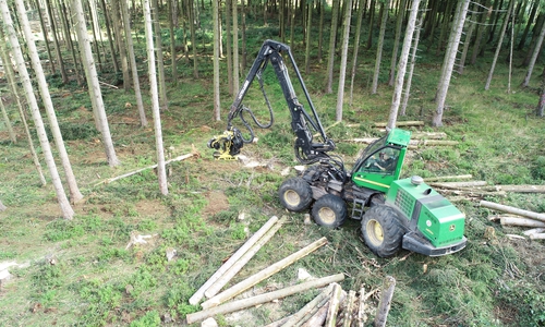 Um die befallenen Bäume aus dem Wald zu bekommen, muss schweres Gerät eingesetzt werden. Sind die Wege vom Regen aufgeweicht, hinterlässt der Harvester besonders tiefe Spuren.