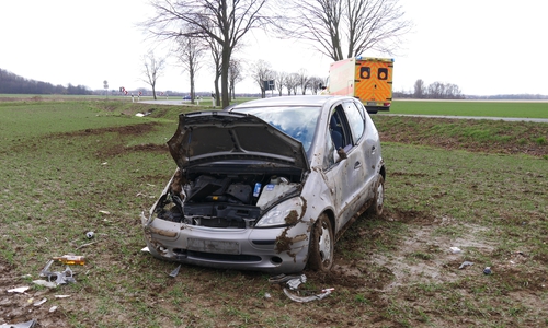 Die beiden Insassen befreiten sich selbstständig aus dem Unfallwagen - und nahmen die Beine in die Hand.